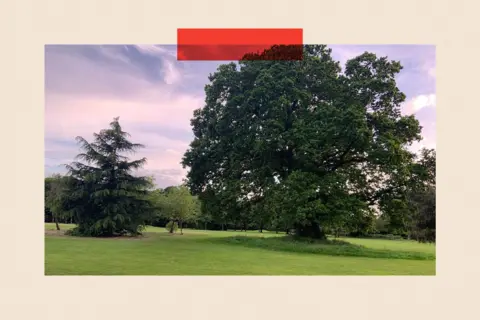 Chris D'Araujo Enderby Golf Course