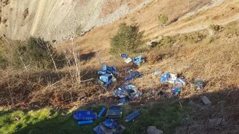 Welsh Cottage by Zina View of steep hillside falling away from the camera with brambles and other scrub - there's a scree slope in the background. A substantial quantity of bright blue cardboard litters the slope heading downhill from the camera