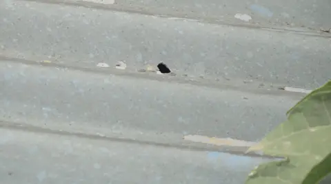 A close-up photo shows a hole in a sheet of iron