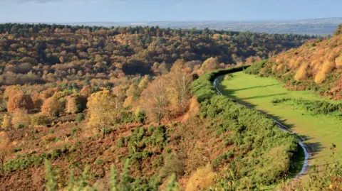 The image shows a stretch of land and a valley covered in trees.