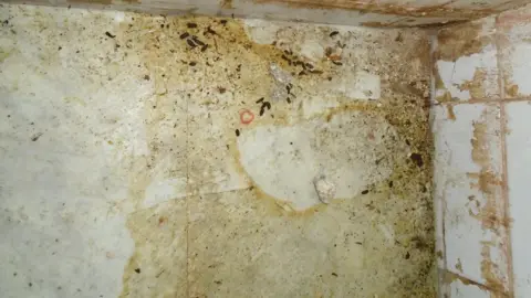 White floor and wall surfaces covered in yellow stains and rat droppings.