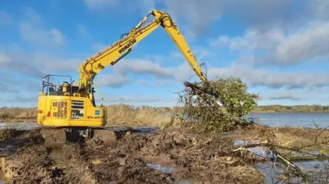 Josh Kalms A digger putting a tree in water