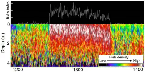 Ole Folkedal Spectrogram visualising audible changes when fish are feeding