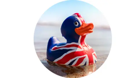 Getty Images A duck