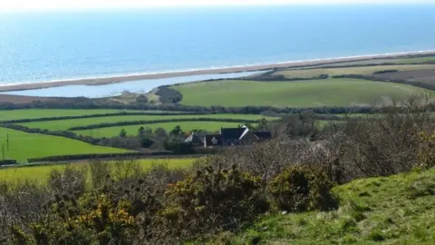 David Martin  View over Swyre Road to West Bexington Nature Reserve