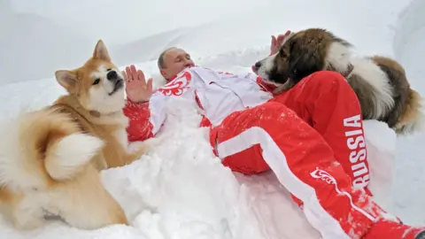 AFP Image shows Russian President Vladimir Putin as he plays with his dogs