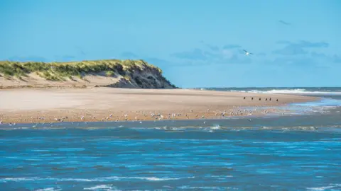 Getty Images Scolt Head Island