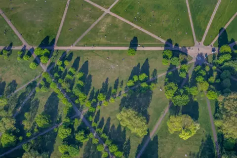 jasonhawkes.com Green trees line green grass and concrete paths