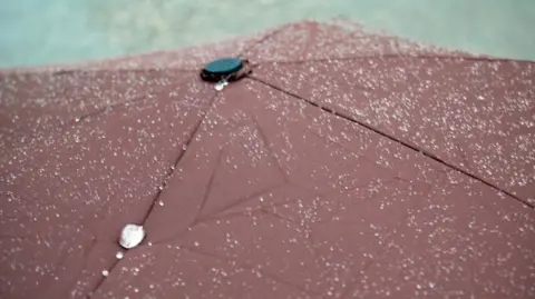 BBC A picture of a wine coloured umbrella covered in raindrops. 