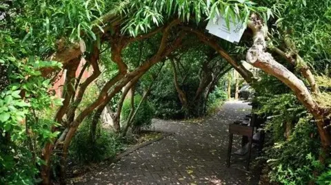 A willow arch covered in foliage growing over a grey paved pathway. There is a wooden stand to one side of the path.