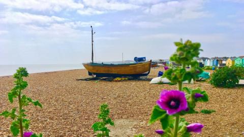 Hollyhocks in the foreground on a shingle beach with a boat and blue cloudy sky behind