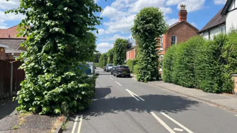 Leafy tree trunks on a residential road, with parked cars and pavements largely obstructed 