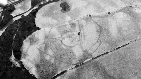 RCAHMW Dramatic parchmarks of First World War practice trenches beneath a golf course at Deganwy, Conwy (17 July 2026). Black and white image of golf course with markings on it. 
