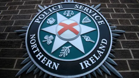 The PSNI emblem on a brick wall. It includes scales, a harp, a torch, a leaf, a shamrock and a crown. 
