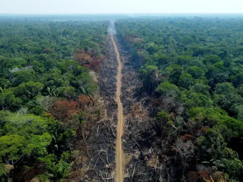 getty A deforested tract of the Amazon rainforest