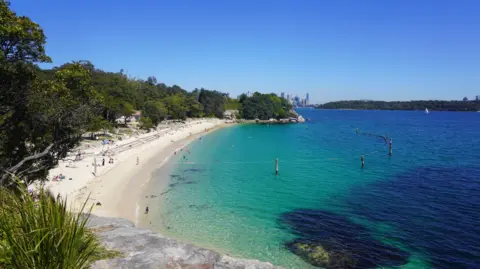 A zoomed out view of Shark Beach and surrounding blue waters. This is a popular recreation ground in Sydney Harbour National Park