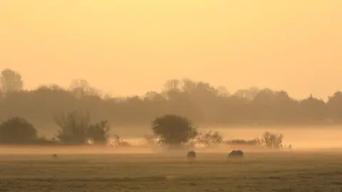 Paul Mallarini Port Meadow sunrise