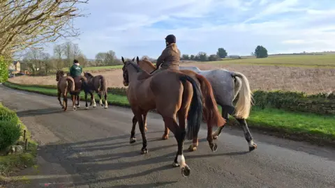 Neady Peady Two rows of three horses are walking down a country road. The middle horses are being ridden. The road is quiet and in the distance you can see a house. There is a field on the far side of the road behind a grass verge and a low stone wall.