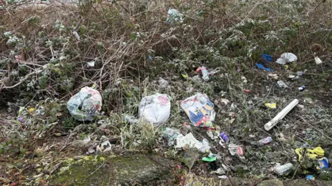 Cat Bills General waste bags dumped in a green area. Many of the bags have split so the rubbish is everywhere. 
