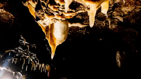 Stump Cross Caverns Mineral formations on the roof of a dark cave.