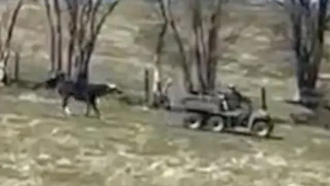 RSPCA A grainy image of a horse being dragged by a vehicle