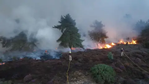 Ryan Lovejoy An aerial shot of firefighters using long hoses to spray water on flames on heathland near trees.