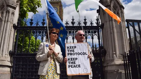 Getty Images Protesters holding EU and Ireland flags