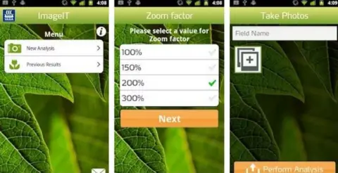 Yara Stills from apps