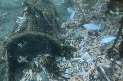 Open Seas A creel pot and dead fish and prawns in a still taken from footage taken of the seabed at Dunvegan.