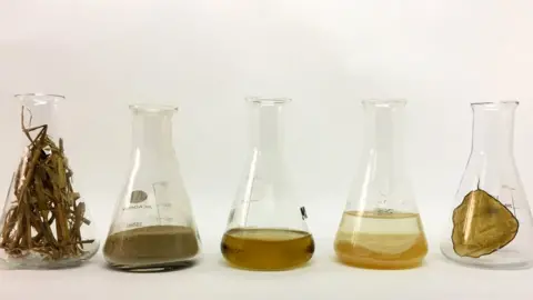 University of York Household waste, crop residues and old textiles