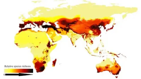 Current Biology Bee map