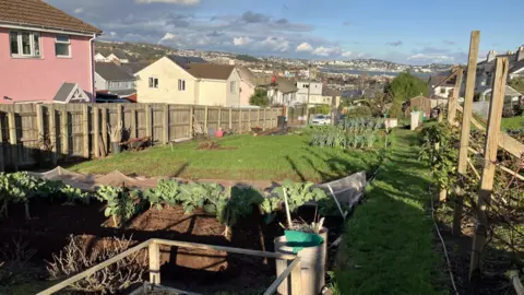 The photo shows an allotment with Brussels sprouts and cauliflowers in the foreground, leeks further back and in the distance houses and the blue sea beyond.
