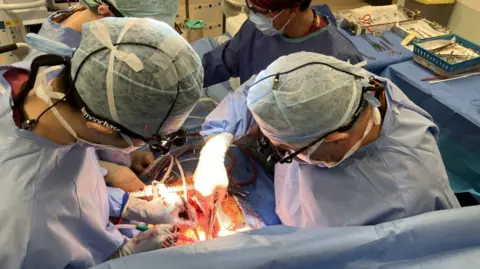 A team of surgeons in gowns, masks and hats are seen operating on a patient