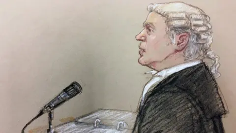 Julia Quenzler A courtroom sketch of Mrs Vardy's barrister Hugh Tomlinson