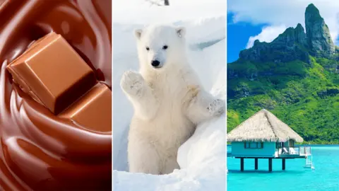 Getty Images Chocolate, a polar bear and a South Pacific island