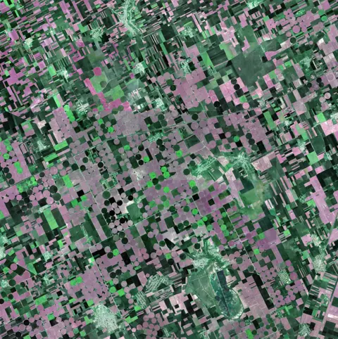 ASPIA SPACE Ukraine fields