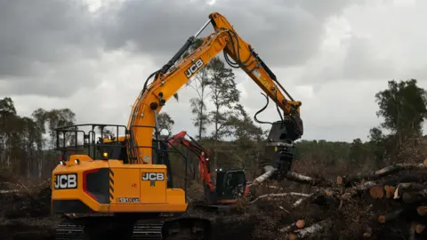 A yellow JCB piece of machinery picking up tree branches.
