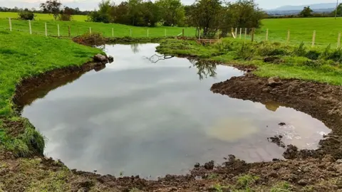The newly completed wetland pond at Little Mearley