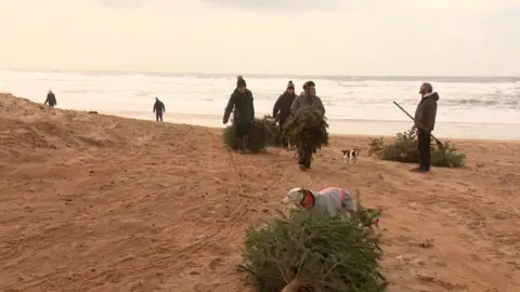 BBC People on the beach with Christmas trees