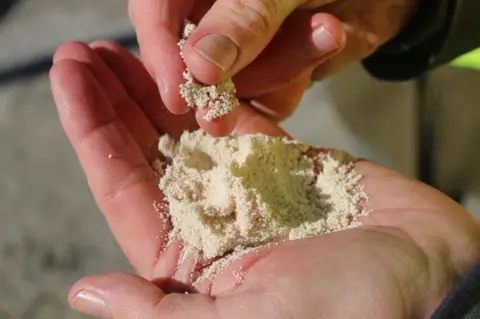 BBC Tiny pellets of calcium carbonate