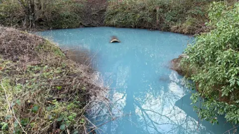 Jenny Thompson A waterway which has an unnatural vivid blue colour and a pipe emerging from the middle of a round pool. Brambles and foliage cover the banks surrounding the water.
