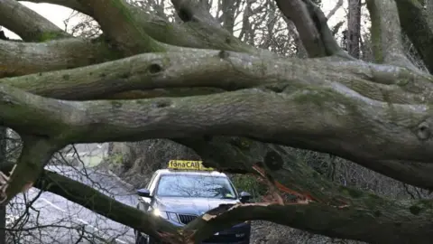 Getty Images A massive fallen tree with a taxi stopped behind it. It's black with a yellow fonacab sign on top of the car. 