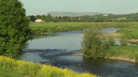 View of the River Ribble with a farmhouse in the background and sheep in the field beside in and hills and trees in the distance.