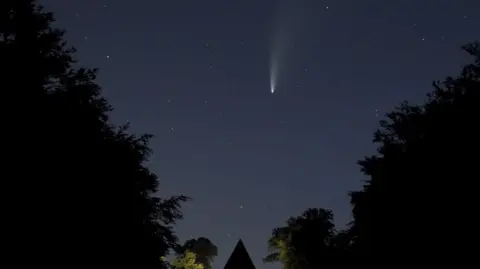 Richard Darn A bright white shooting star in a dark night sky. The picture is framed with trees.