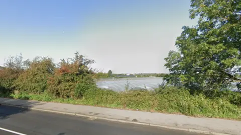 A Google Maps picture with polytunnels behind hedgerows just off a road and a pavement. 