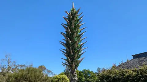 A spiky plant protrudes into the blue sky