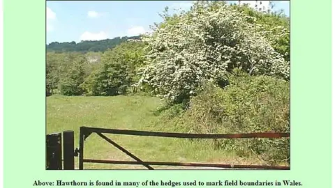 John Ball John Ball's photo from 1998