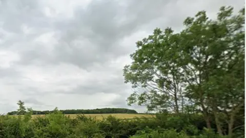 Google Grass field with trees and hedge in the foreground and wooded area in background.