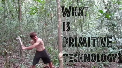 What is primitive technology?