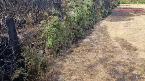 DWFS Heathland fire damage